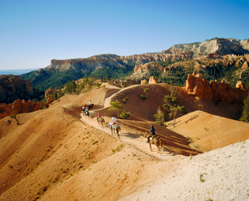 Bryce Canyon Trail Riding Bryce National Park Usa