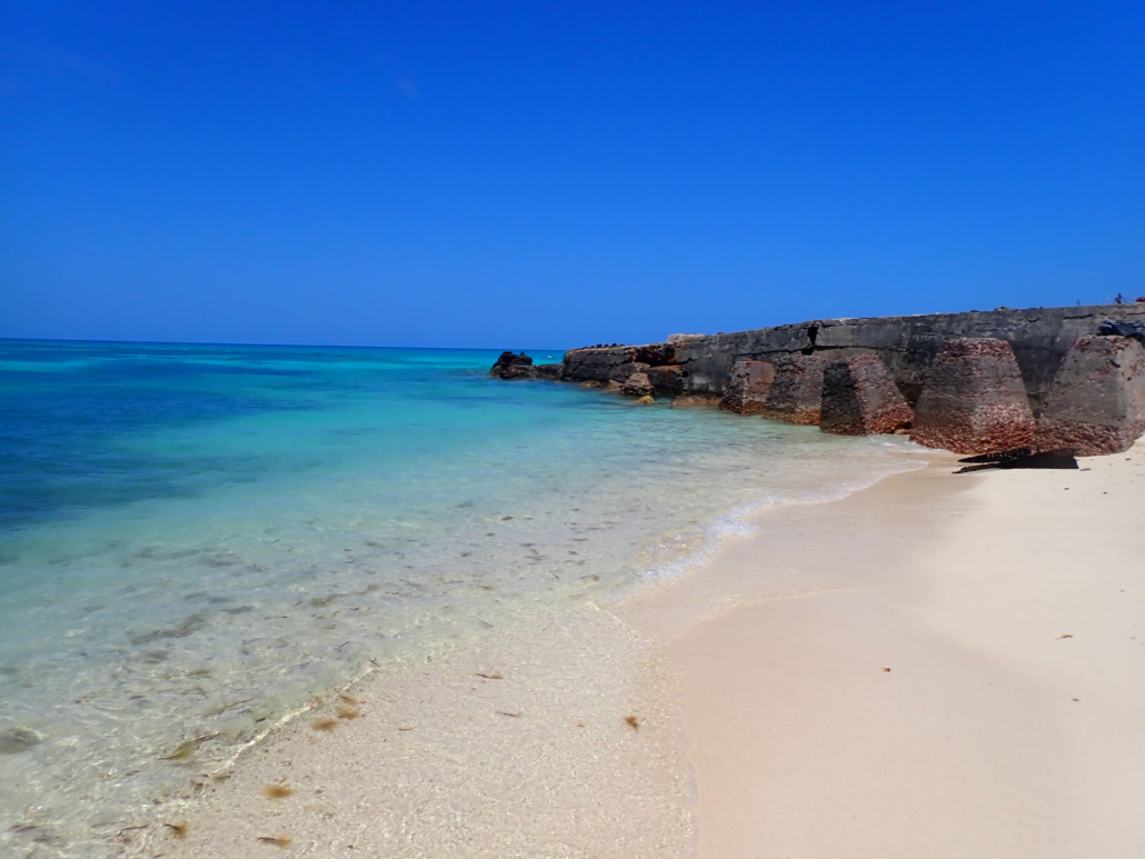 Dry_Tortugas-National Park Beach_2501163659 Dry Tortugas National Park Beach