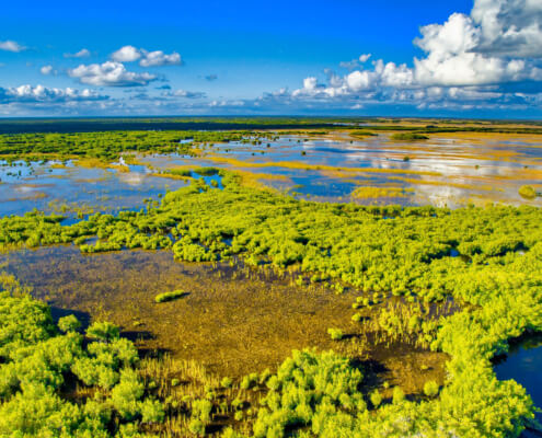 Everglades Panoramic Aerial View At Sunset