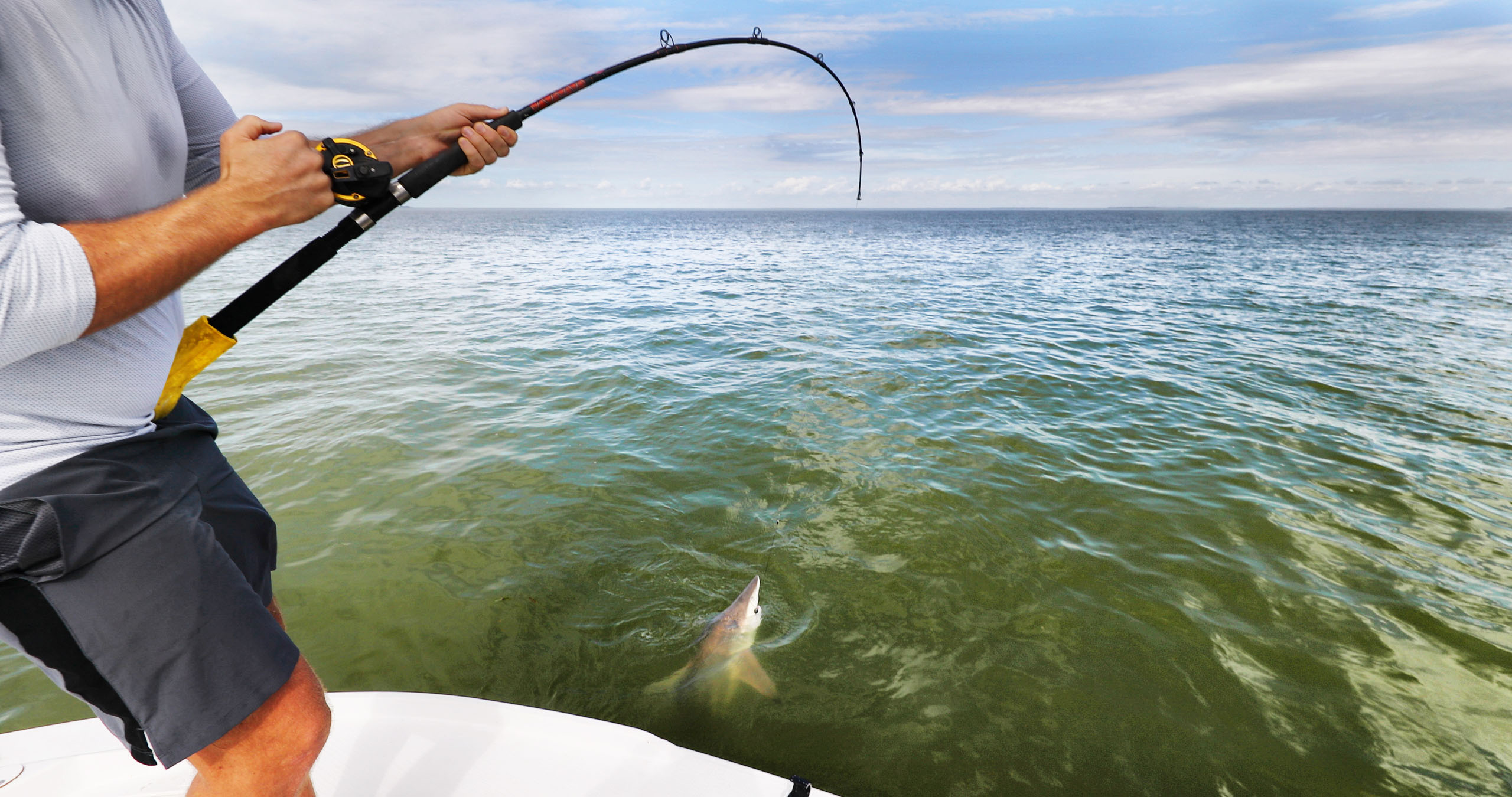 Everglades-Sports fishing fisherman man pulling off spinner shark_1321959317 Everglades Sports Fishing Fisherman Man Pulling Off Spinner Shark
