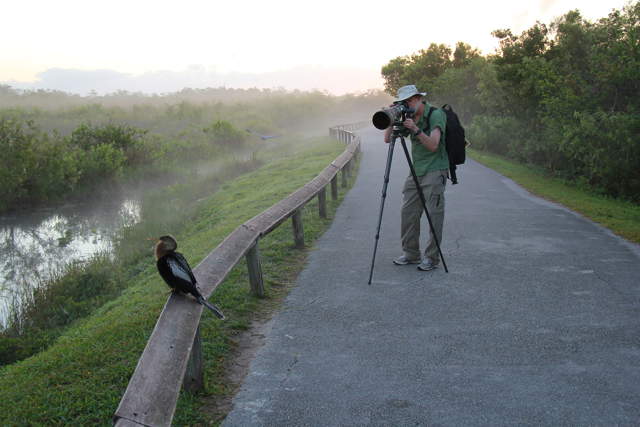 Everglades-Wildlife Photographer Aiming Lens at an American Anhingashutterstock_98823536 Everglades Wildlife Photographer Aiming Lens At An American Anhingashutterstock