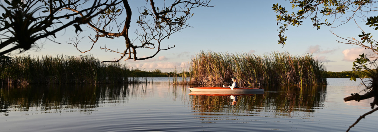 Everglades-Woman kayaking on Nine Mile Pond_1938260227 Everglades Woman Kayaking On Nine Mile Pond