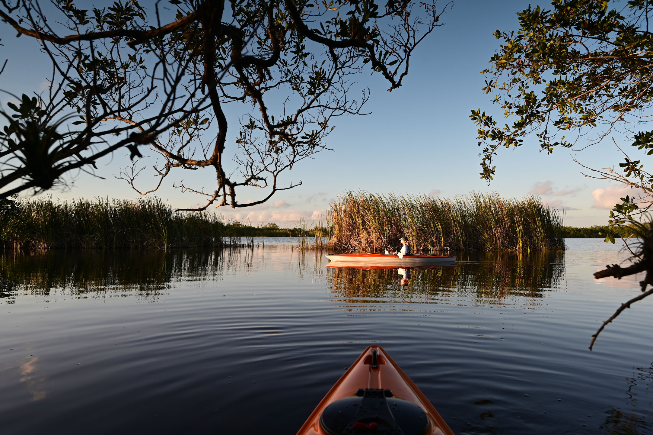 Everglades-Woman kayaking on Nine Mile Pond_1938260227 Everglades Woman Kayaking On Nine Mile Pond