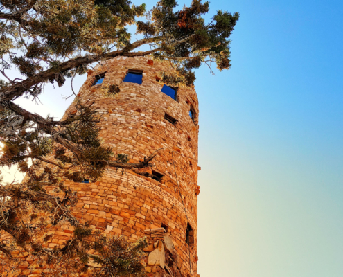 Grand Canyon Yavapai Watch Tower Behind Big Tree In Afternoon Arizona Desert View Scenery