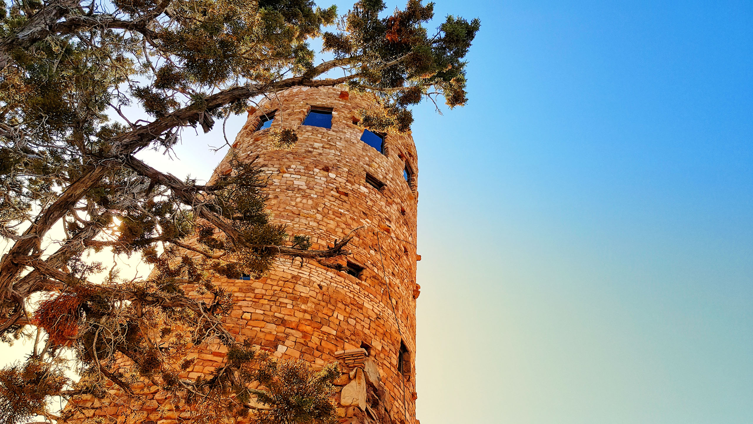 Grand_Canyon-Yavapai watch tower behind big tree in afternoon Arizona desert view scenery_1081775465 Grand Canyon Yavapai Watch Tower Behind Big Tree In Afternoon Arizona Desert View Scenery