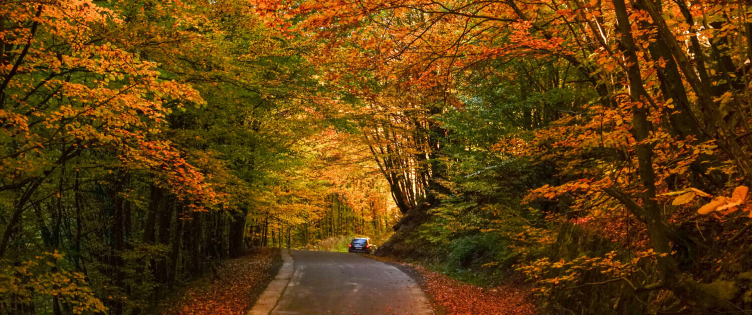 great smoky mountains fall colors