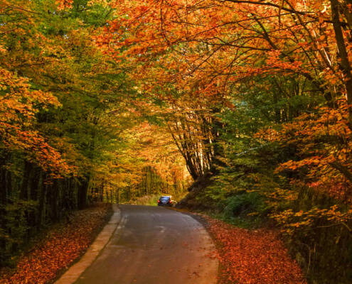 great smoky mountains fall colors