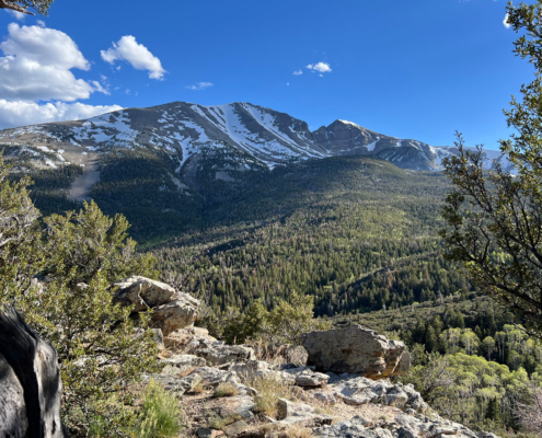 Great Basin Wheeler Peak At Great Basin National Park Near Baker Nevada