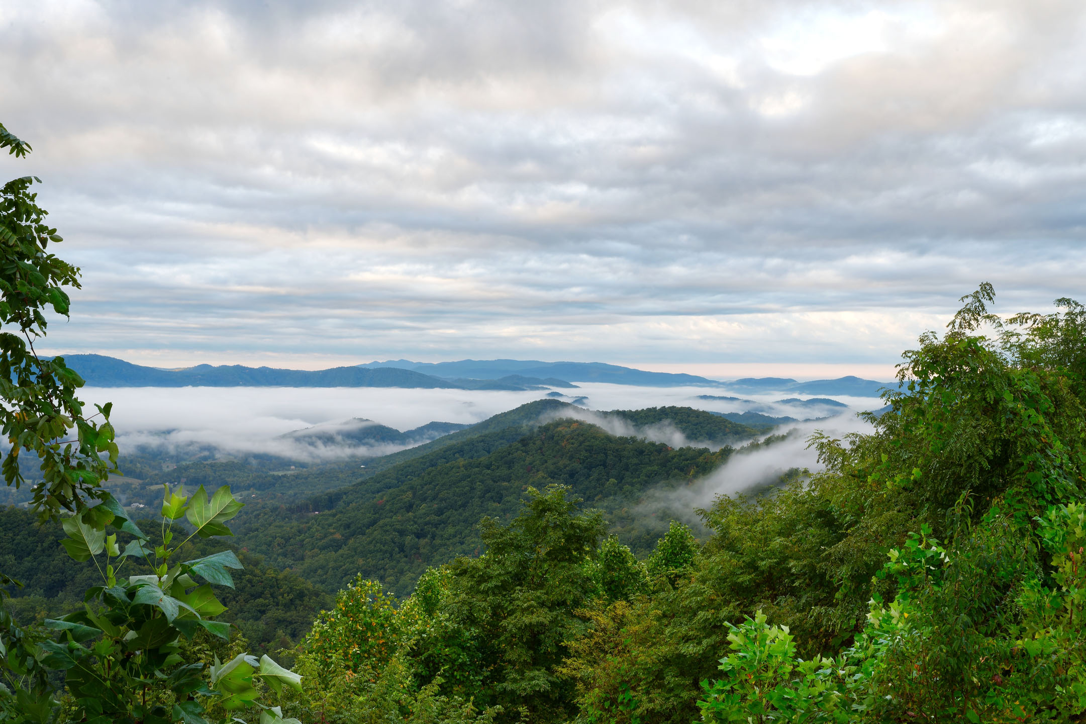 Great_Smoky_Mountains-fog lingering in valleys of the Smoky Mountains. It was taken in Wears Valley_2501508849 Great Smok Mountains Fog Lingering In Valleys Of The Smoky Mountains