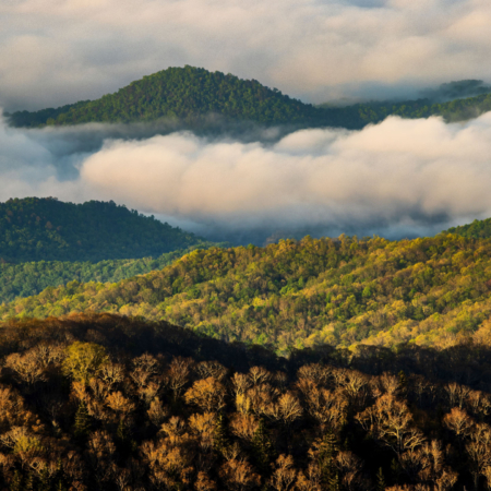 Great Smoky Mountains Early Morning Spring View Of Mountains And Mist From Clingmans Dome Area