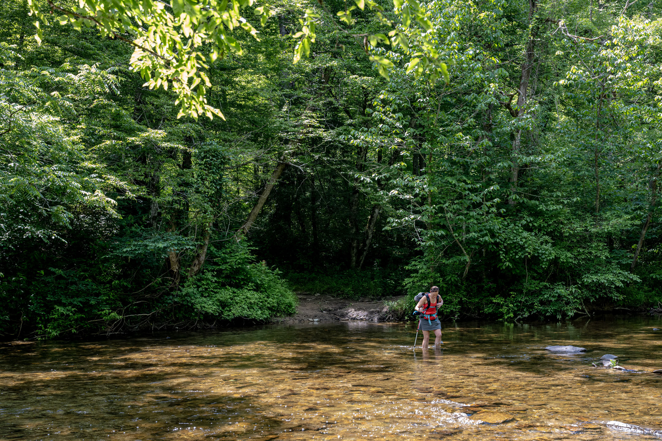 Great_Smoky_Mountains-Shin deep in creek crossing on a hike in the Smokies-1987266266 Great Smoky Mountains Shin Deep In Creek Crossing On A Hike In The Smokies
