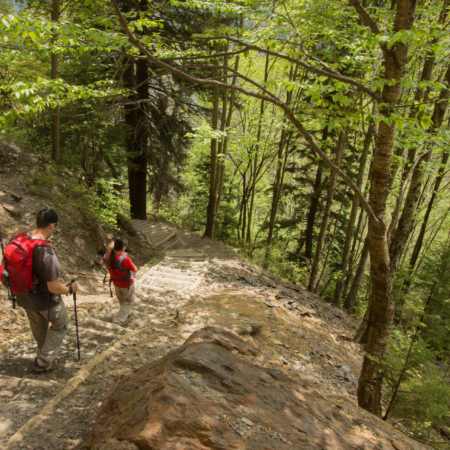 Great Smoky Mountains Alum Bluff Hike