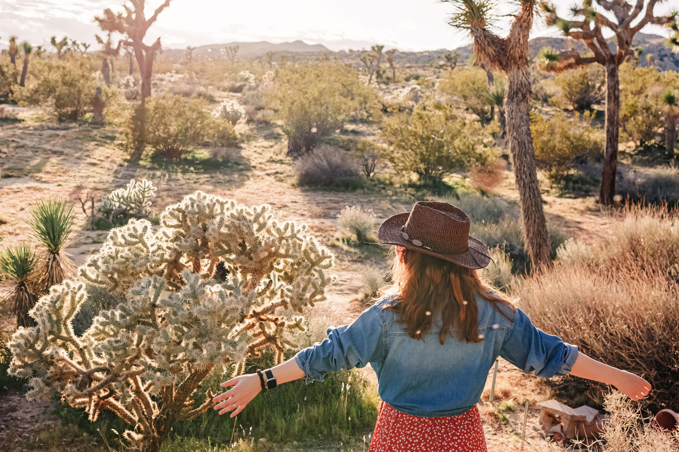 Woman,Enjoys,Nature,In,Desert,Landscape,With,Cacti,At,Sunrise Joshua Tree Woman Cowboy Hat At Tree Desert