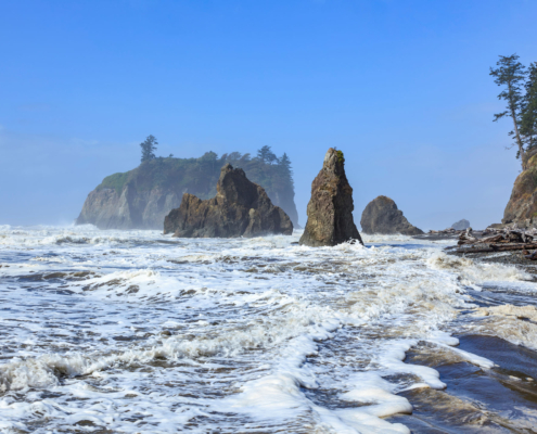 Olympic Rocky Spires Ocean Coast