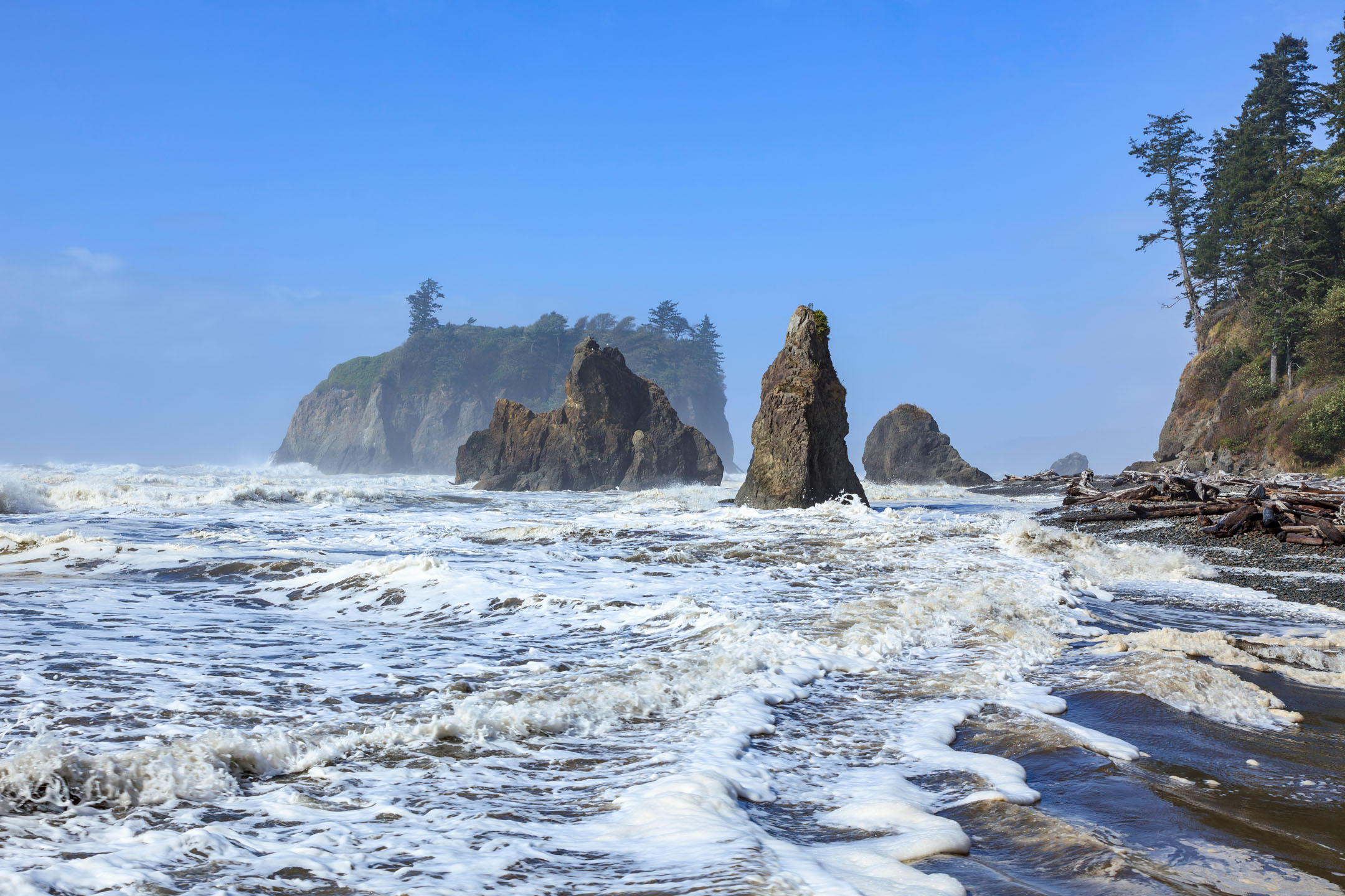Olympic-rocky-spires-ocean-coast_2419661039 Olympic Rocky Spires Ocean Coast