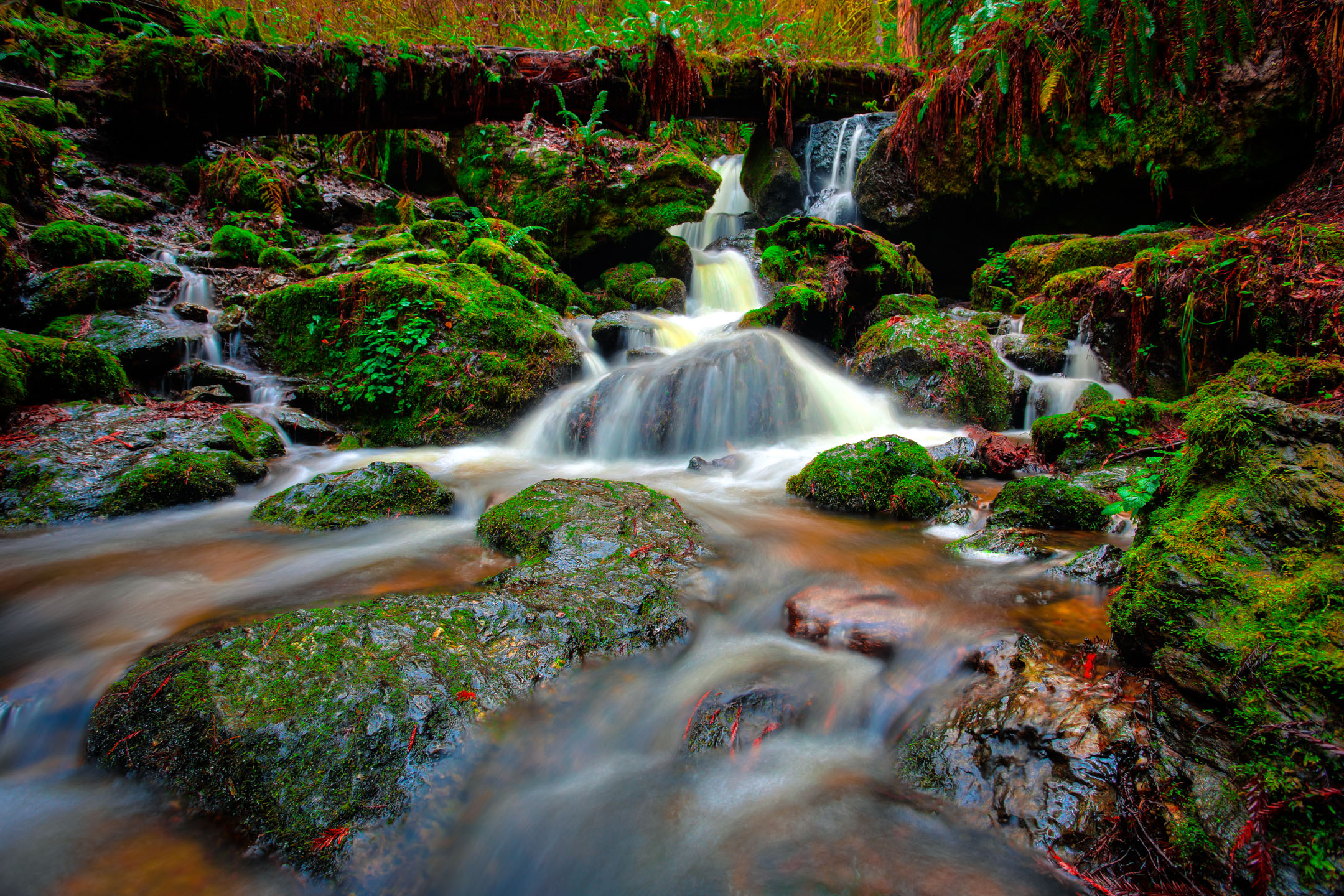 Trillium,Falls,,Redwoods,National,&,State,Parks,,California Redwood Cascading Small Forest Waterfalls