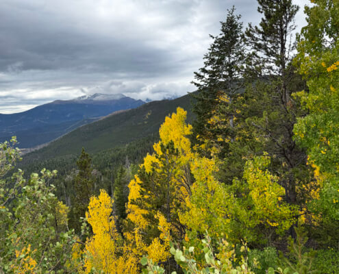 Rocky Mountain Trees Changing Color Mountain Background