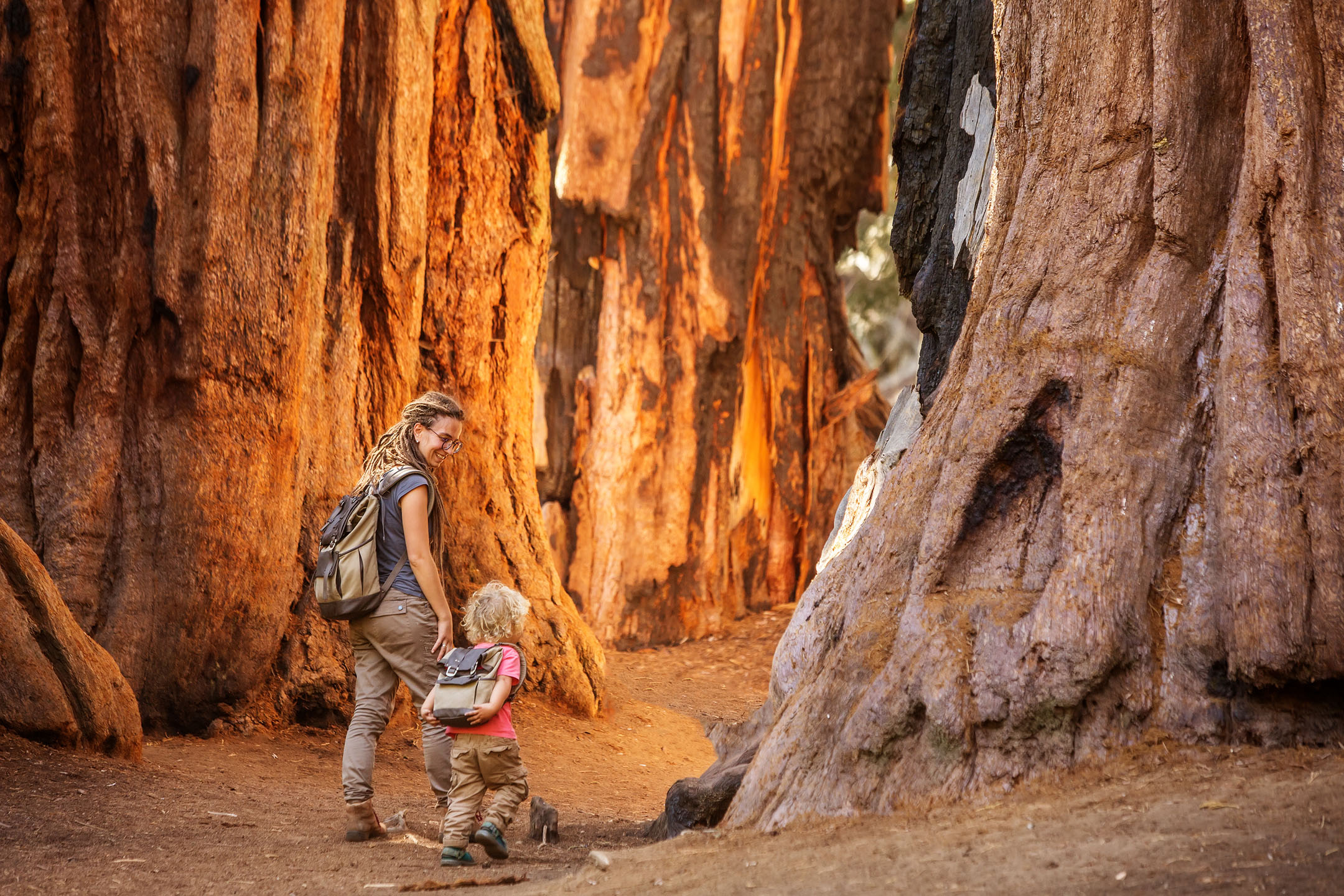 Sequoia-mother-child-hiking-among-giant-tree-trunks_1450297529 Sequoia Mother Child Hiking Among Giant Tree Trunks
