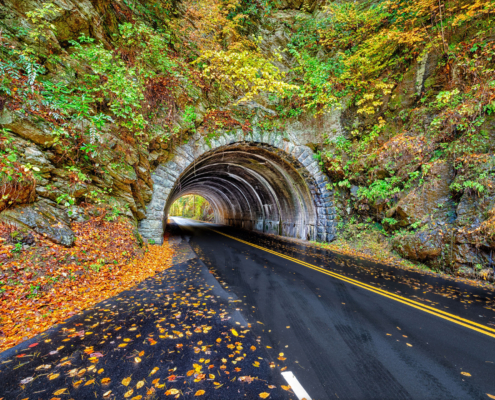 Smoky Mountains Tunnel Between Townsend Tennessee And Cades Cove Is Surrounded By A Show Of Autumn Colors