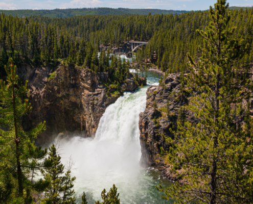 Yellowstone Lower Falls Of The Yellowstone River