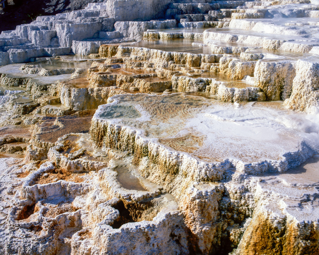 Yellowstone-Minerva Terrace of Mammoth Hot Springs_2458178851 Yellowstone Minerva Terrace Of Mammoth Hot Springs