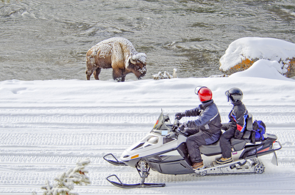Yellowstone-Two snowmobilers view a bison_96823747 Yellowstone Two Snowmobilers View A Bison