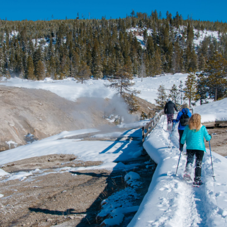 Yellowstone Active Seniors Snowshoeing