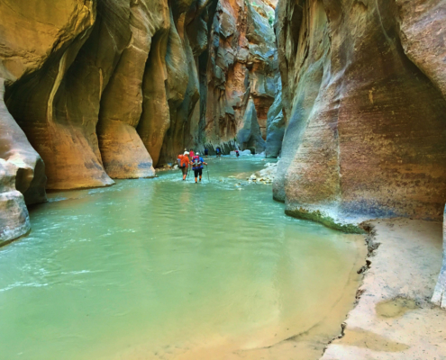 Zion Hiking Thru Water Narrows