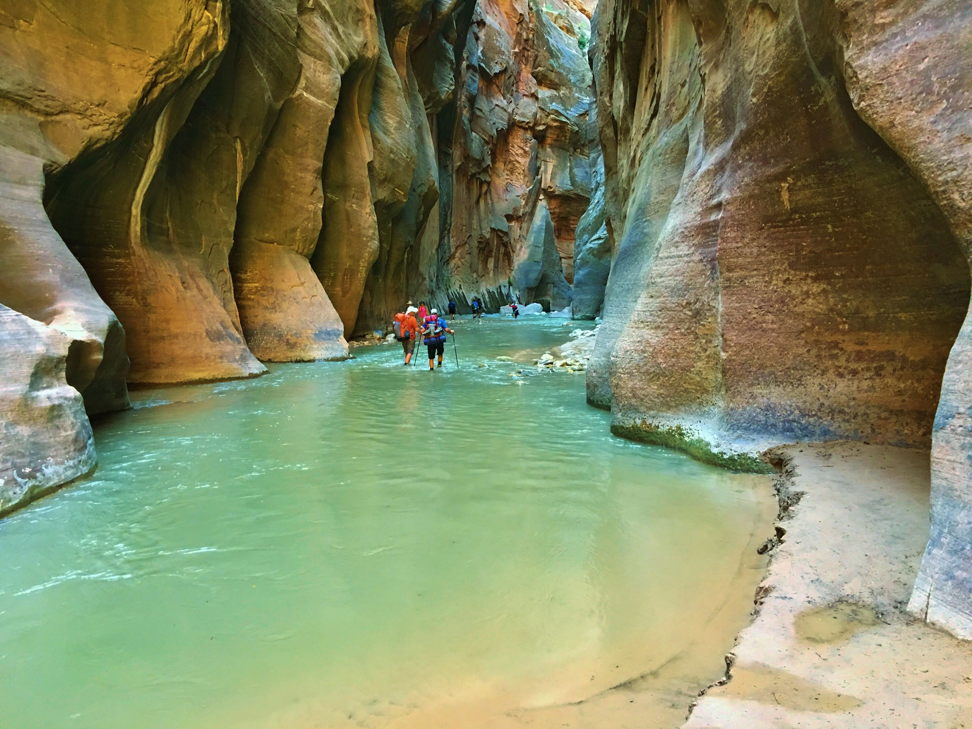 Zion-hiking-thru-water-narrows_634309883 Zion Hiking Thru Water Narrows