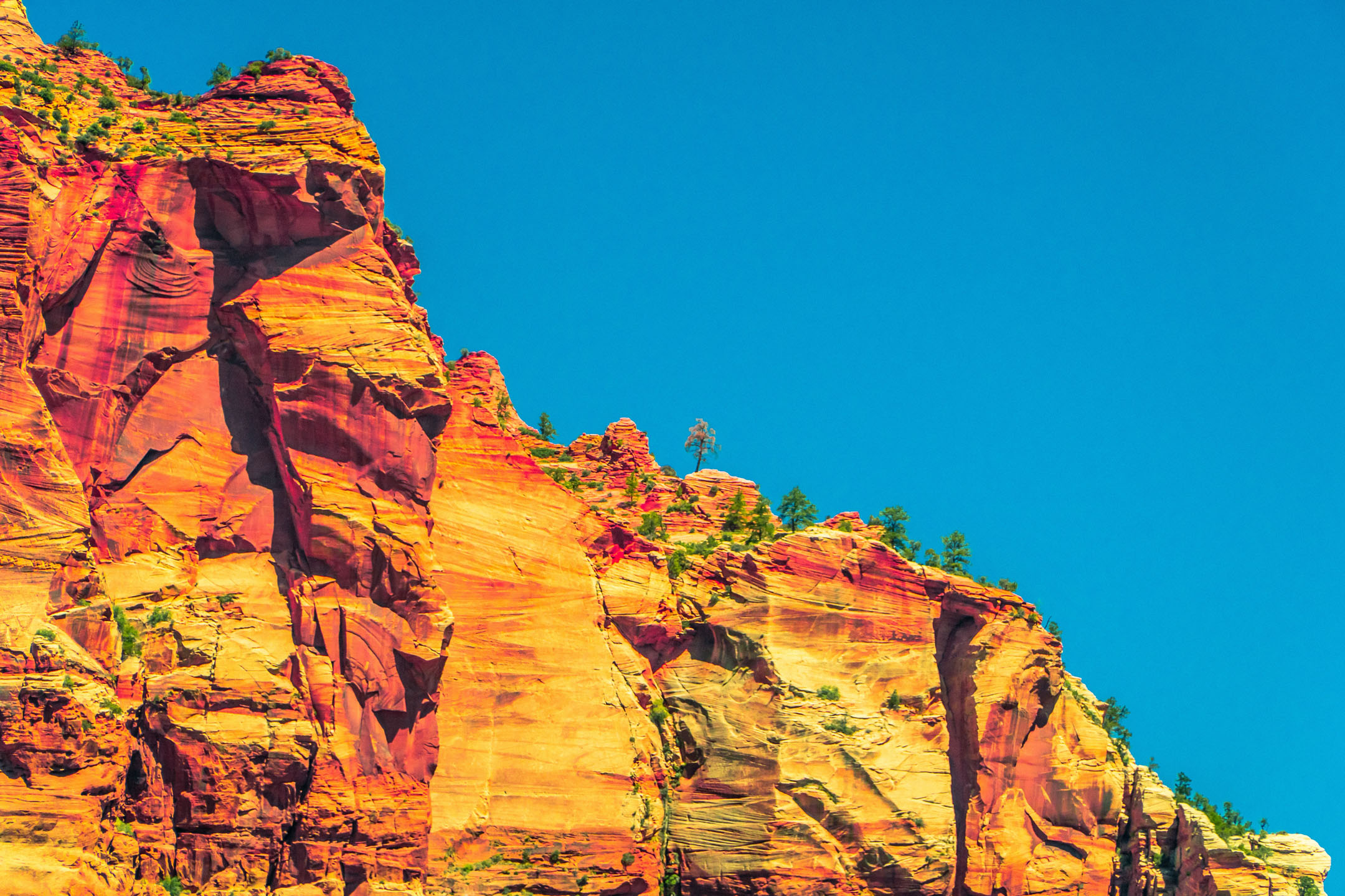 Zion Looking Up At Incredible Cliff Striations