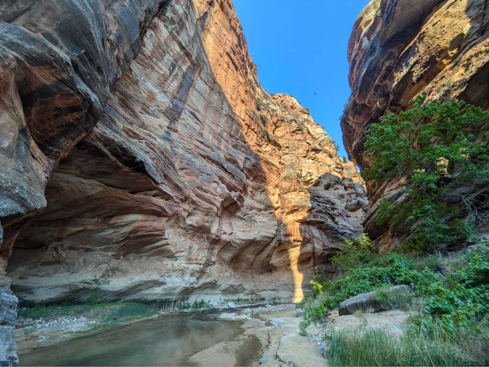 Hiking: The Zion Narrows — Zion Allwaysadventure Zion Narrows Canyon Walls