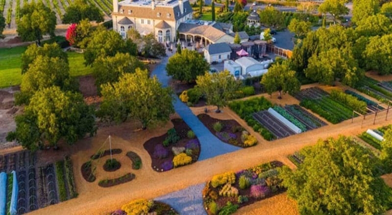 beautiful, vineyard, landscape Bestbayareatours Beautiful Vineyard Landscape