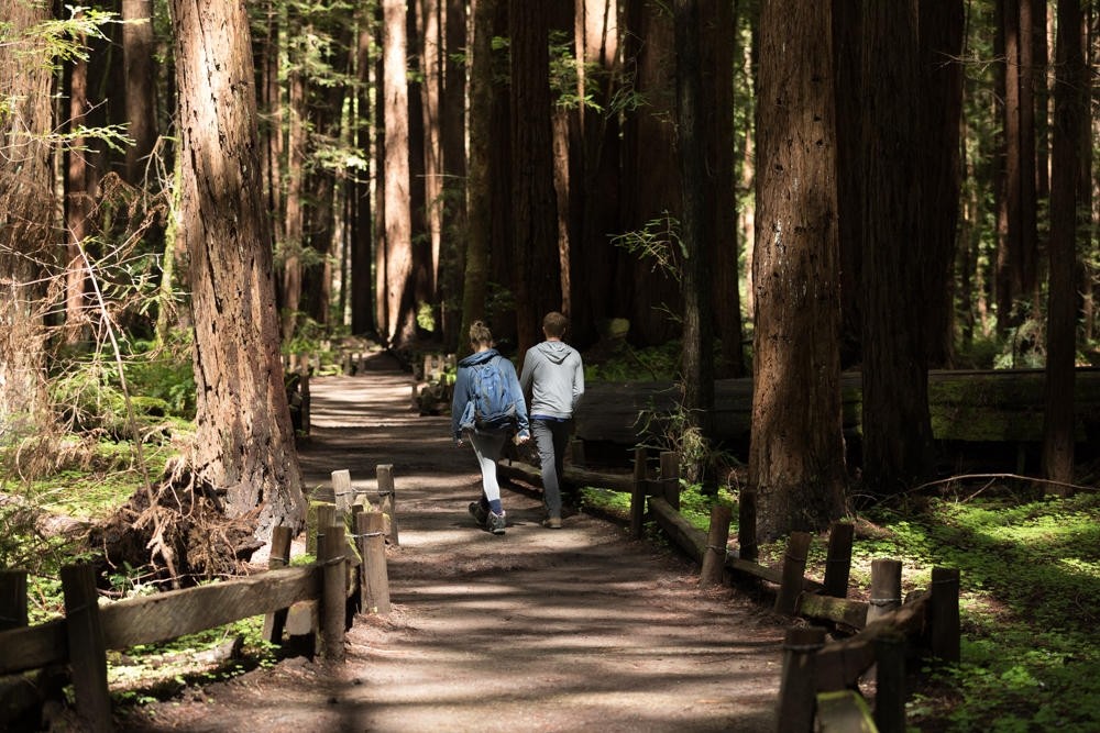 couple, walking, on, a, forest, path Bestbayareatours Couple Walking On A Forest
