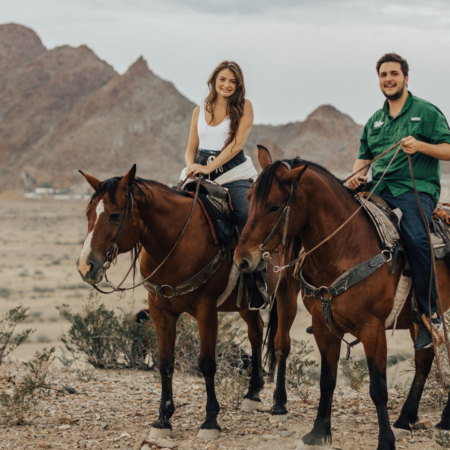 Bigbendstables Couple Horses Desert Mountains