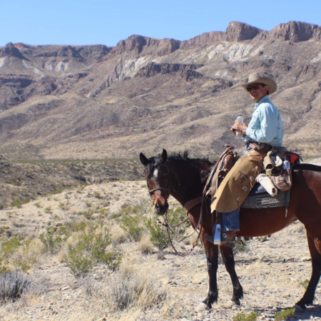 Bigbendstables Cowboy Horse Desert Mountains