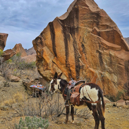 Bigbendstables Donkey Saddle Rocky Landscape