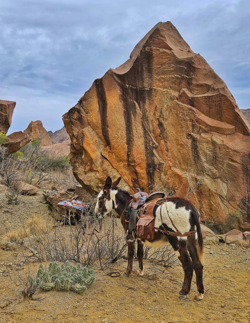 bigbendstables_donkey-saddle-rocky-landscape Bigbendstables Donkey Saddle Rocky Landscape