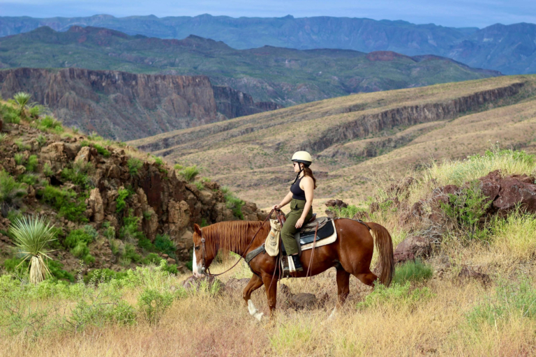 bigbendstables_horseback-rider-brown-horse-mountains Bigbendstables Horseback Rider Brown Horse Mountains