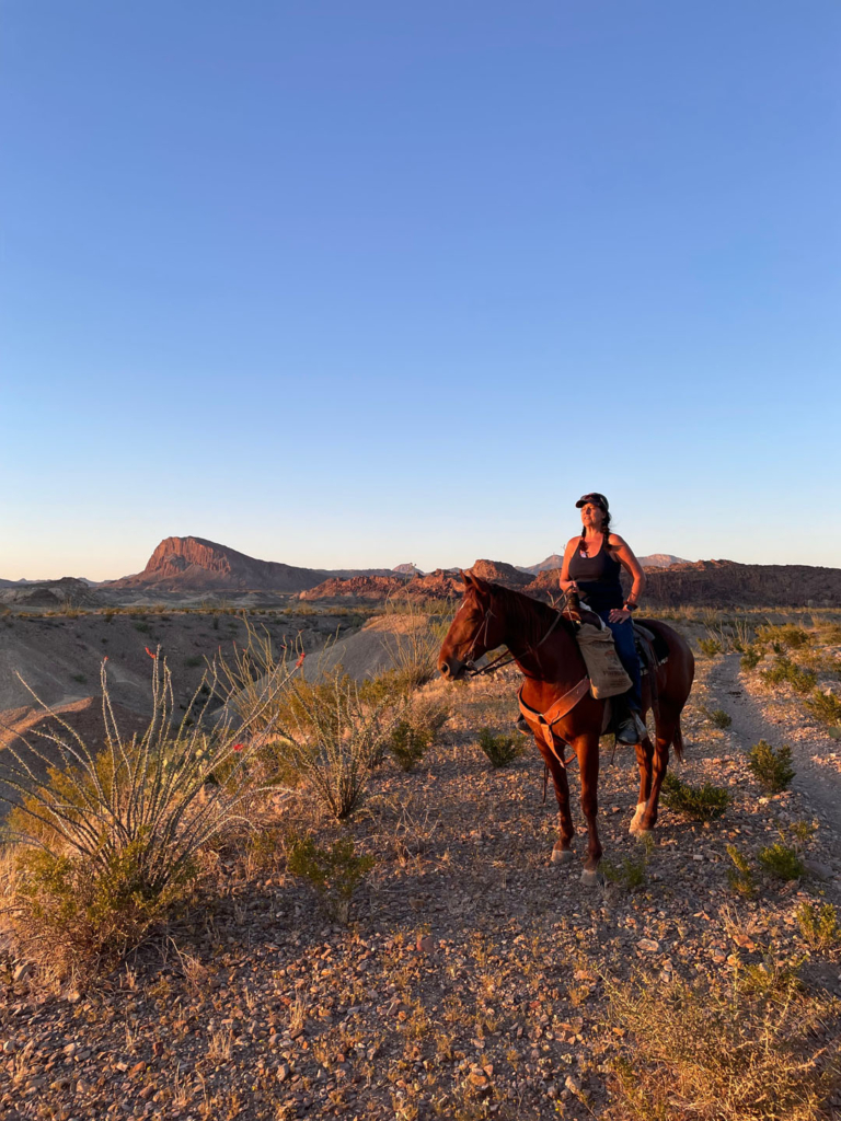 Bigbendstables Horseback Rider Desert Path