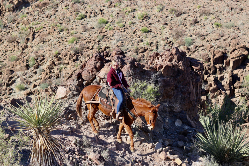 bigbendstables_horseback-rider-red-rocks Bigbendstables Horseback Rider Red Rocks