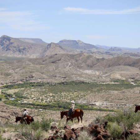 Bigbendstables Horseback Riders Big Bend Desert