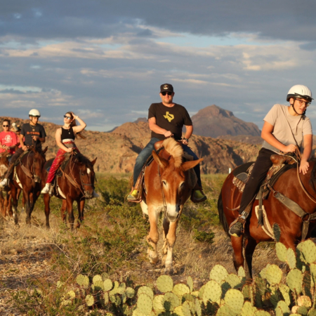 Bigbendstables Horseback Riders Desert Big Bend