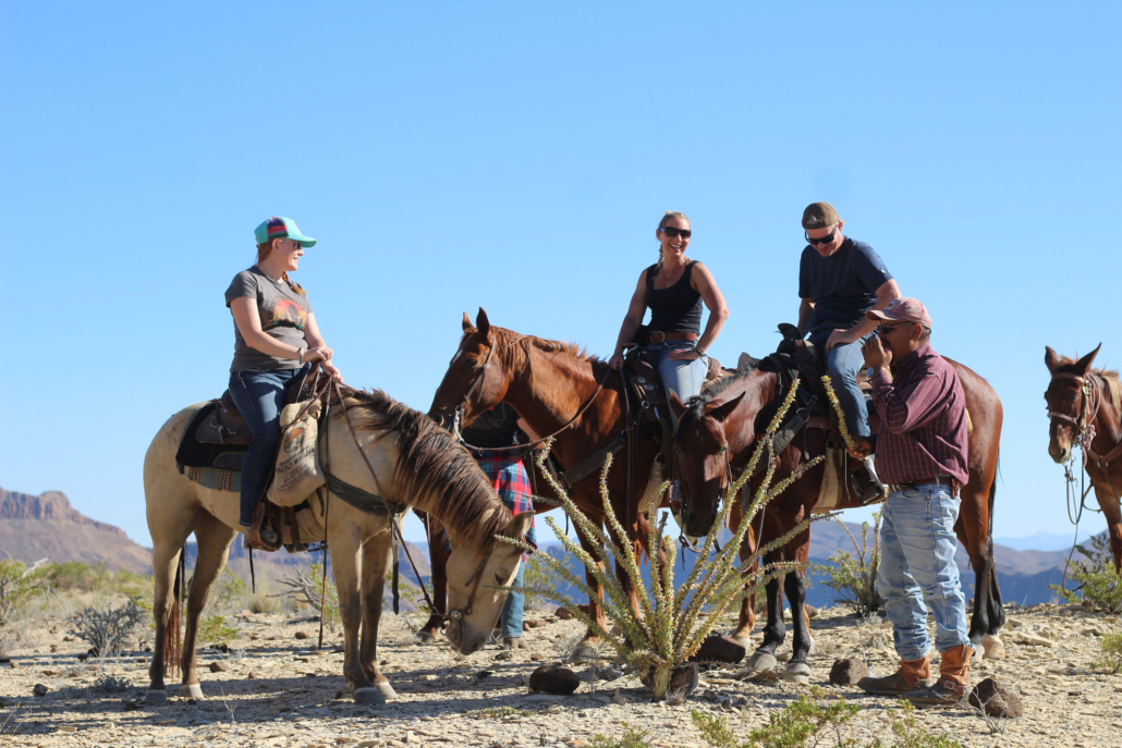 bigbendstables_horseback-riders-desert-plant Bigbendstables Horseback Riders Desert Plant