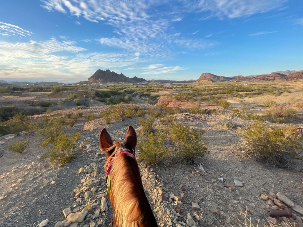 bigbendstables_horseback-view-big-bend-mountains Bigbendstables Horseback View Big Bend Mountains
