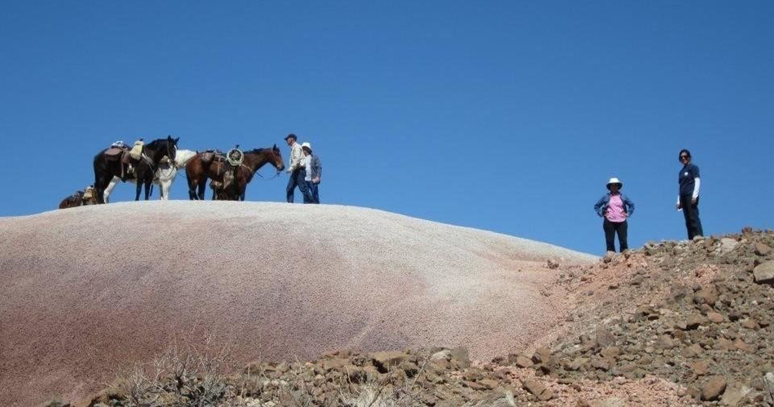 bigbendstables_horses-riders-hill-big-bend Bigbendstables Horses Riders Hill Big Bend