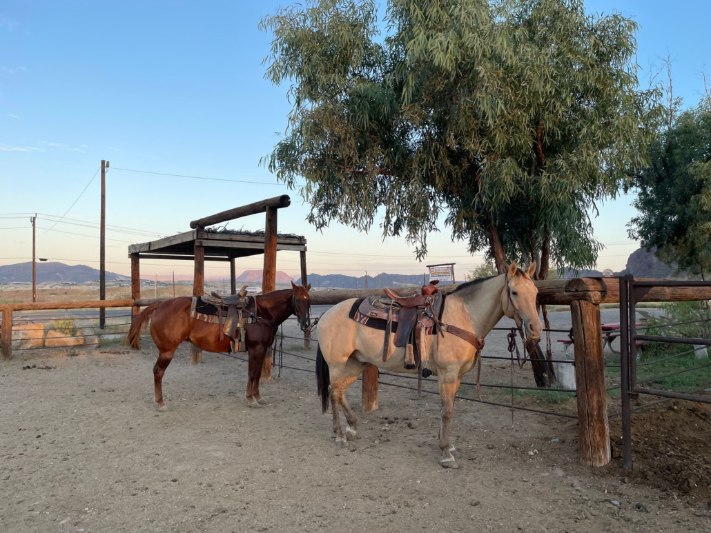 bigbendstables_horses-saddled-pen-big-bend Bigbendstables Horses Saddled Pen Big Bend