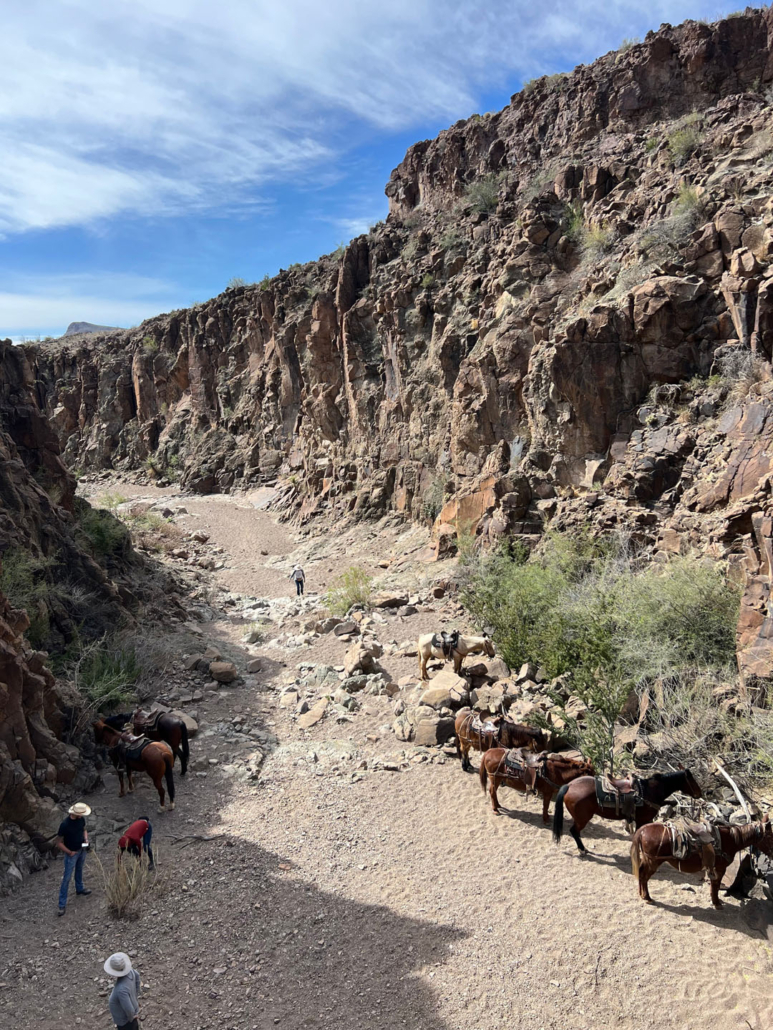 bigbendstables_rocky-canyon-horses Bigbendstables Rocky Canyon Horses