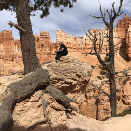Brycecanyonscenictoursandshuttleservice A Lone Figure Amidst Stunning