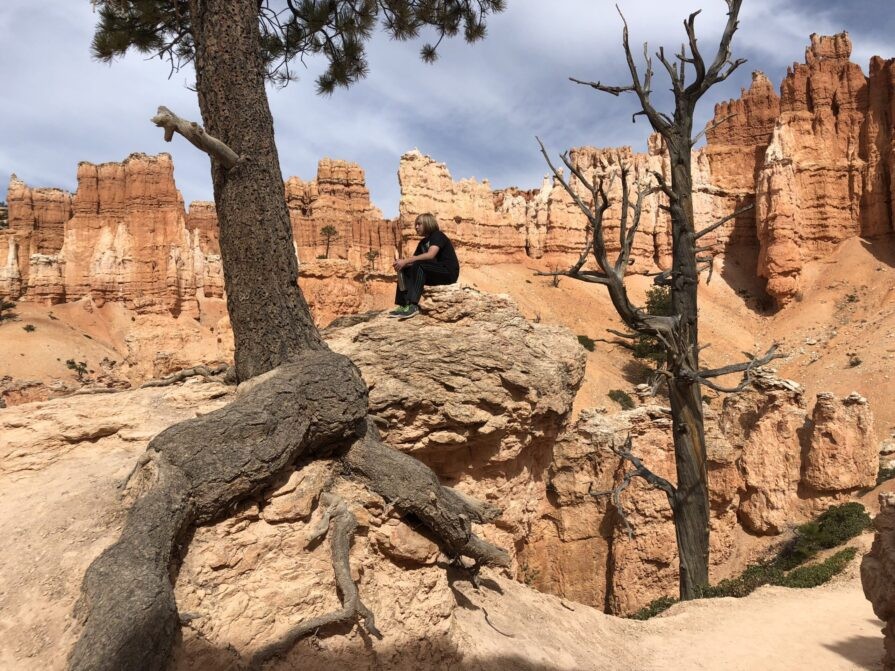 brycecanyonscenictoursandshuttleservice-a-lone-figure-amidst-stunning Brycecanyonscenictoursandshuttleservice A Lone Figure Amidst Stunning