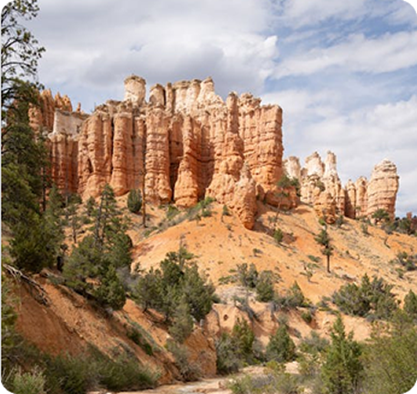 brycecanyonscenictoursandshuttleservice-scenic-bryce-canyon-landscape Brycecanyonscenictoursandshuttleservice Scenic Bryce Canyon Landscape